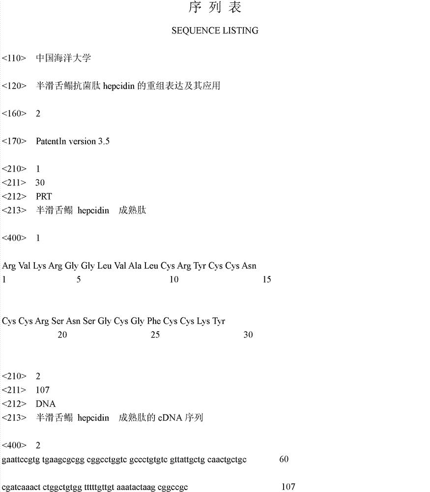 Recombination expression of cynoglossus semilaevis antibacterial peptide hepcidin and application thereof