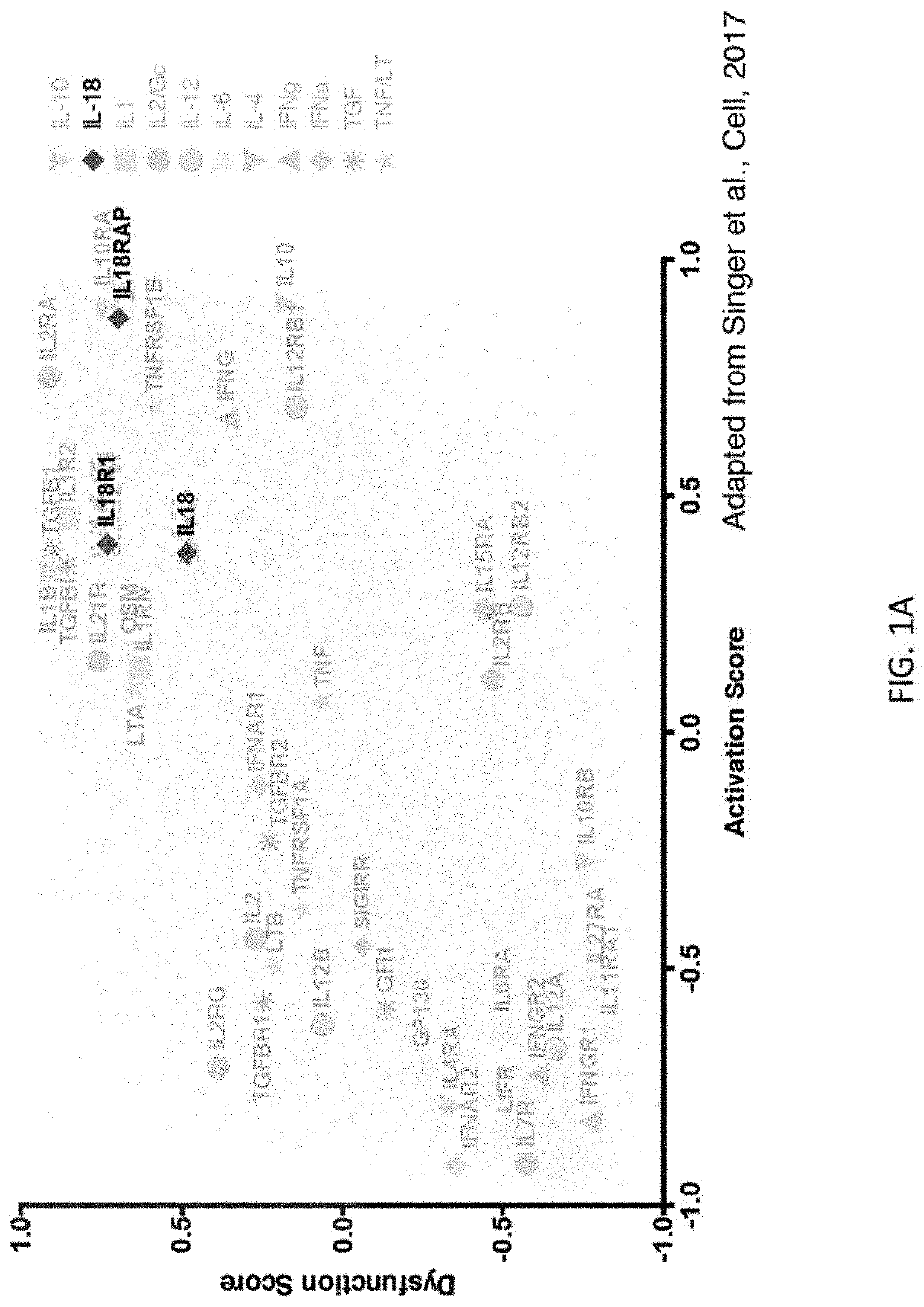 Interleukin-18 mimics and methods of use