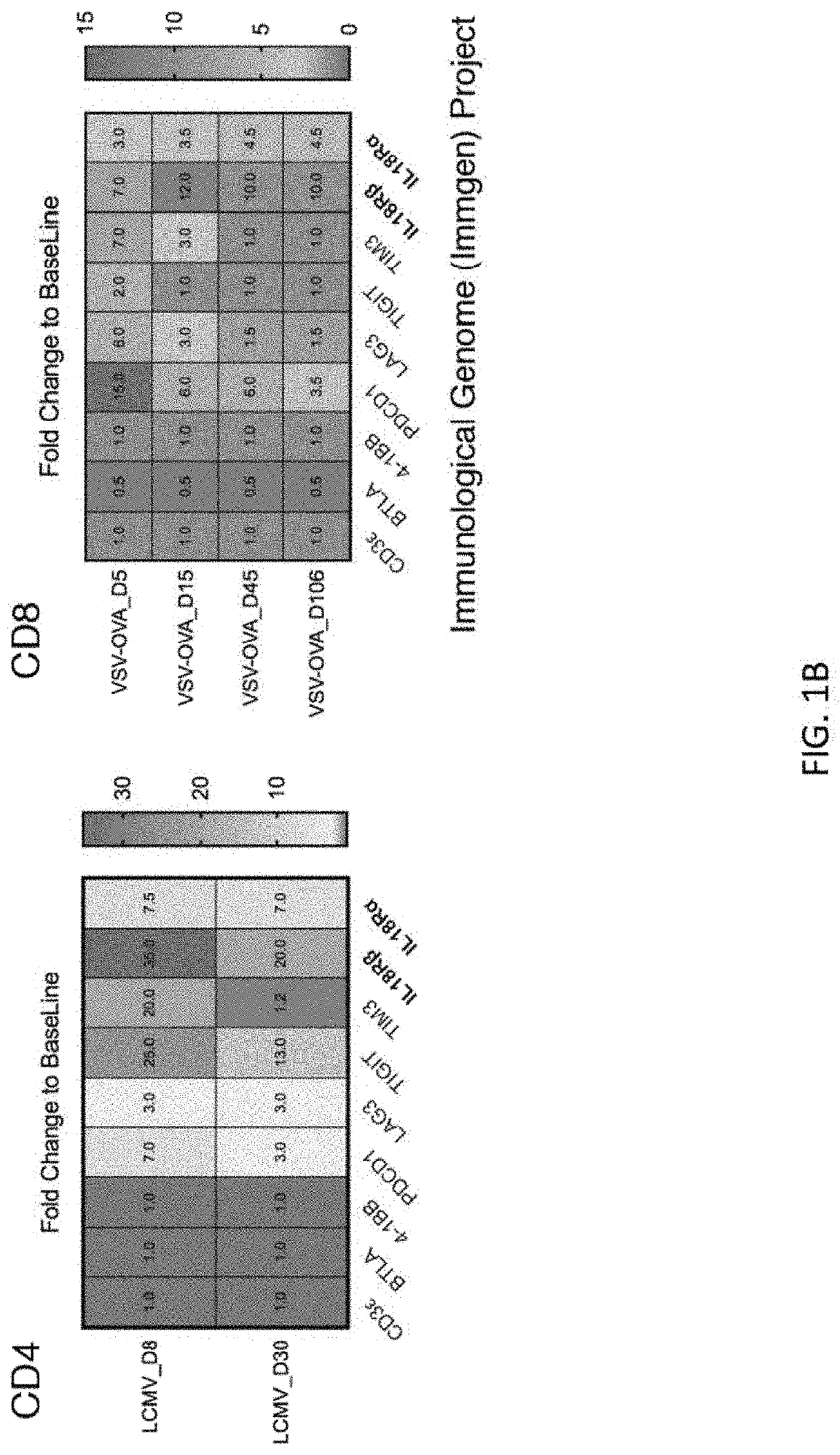 Interleukin-18 mimics and methods of use