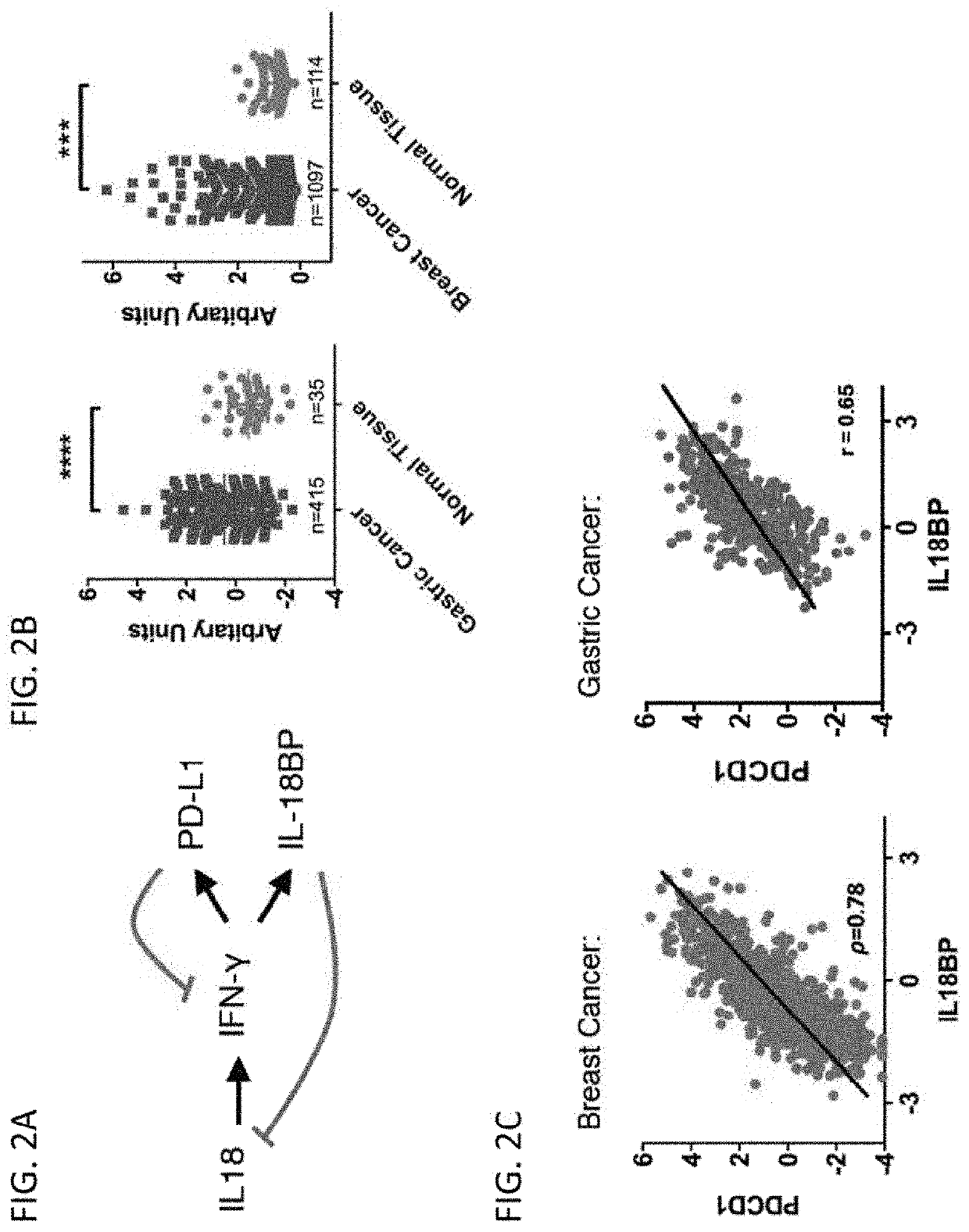 Interleukin-18 mimics and methods of use