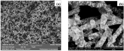 Preparation method of SiC nanowire toughened chemical gas codeposited HfC-SiC compound phase coating