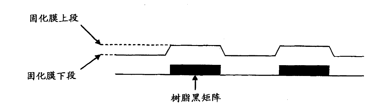 Coloring composition, color filter and color liquid crystal display element