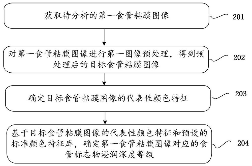 Esophageal marker infiltration depth grade determination method and device and readable storage medium