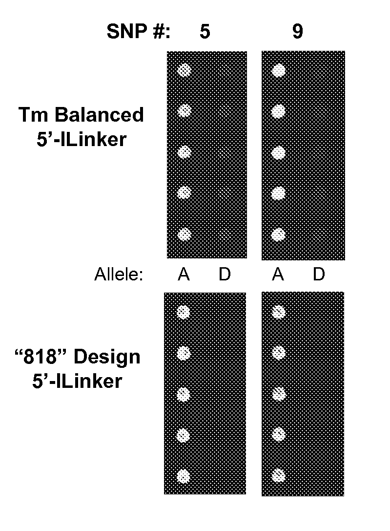 Microarray system with improved sequence specificity