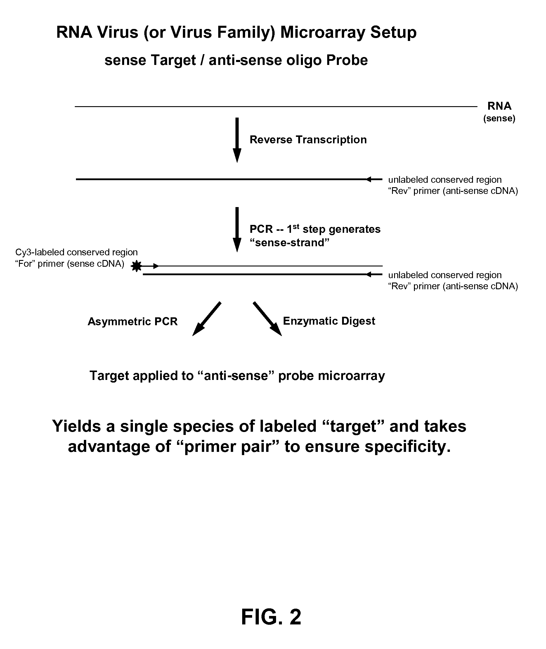 Microarray system with improved sequence specificity