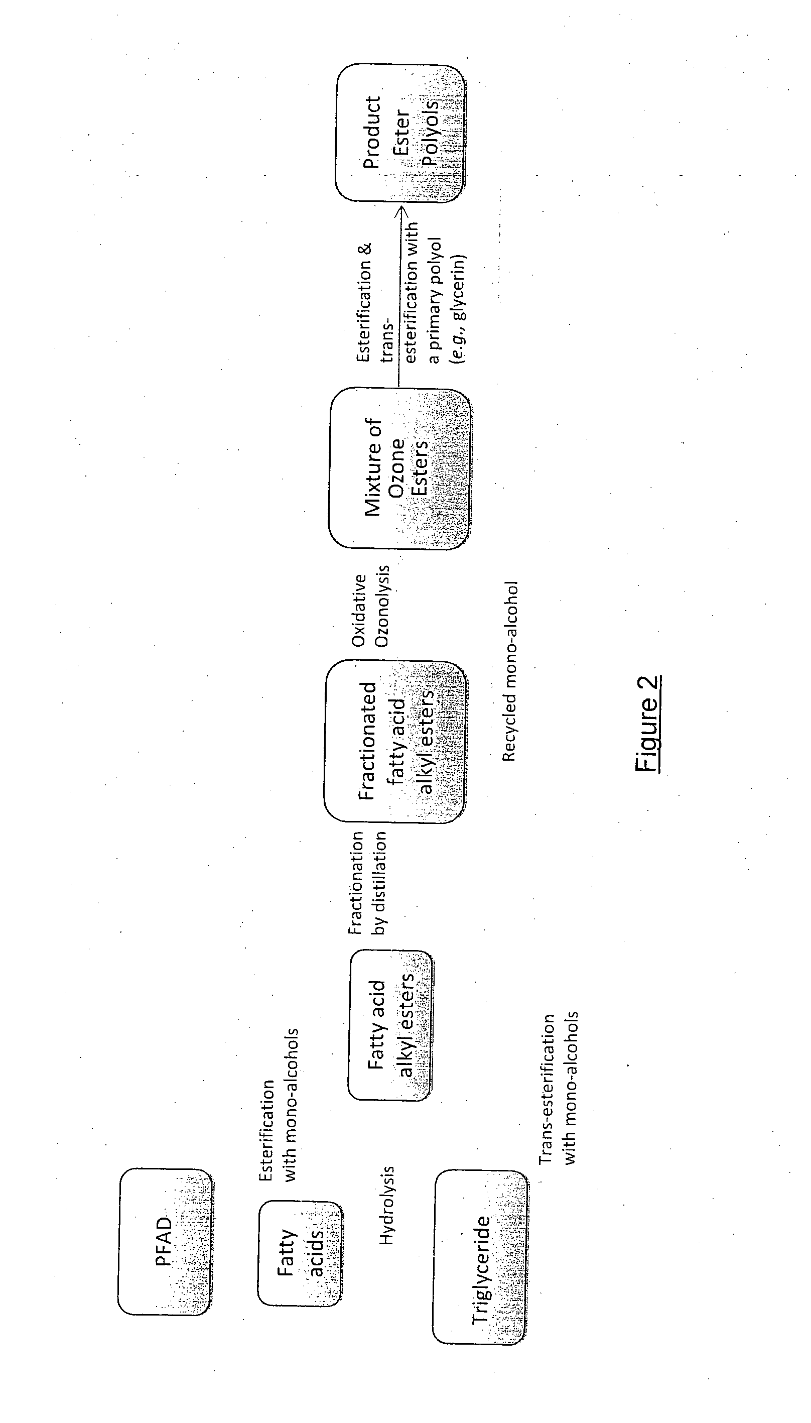 Method for the production of polyols and uses thereof