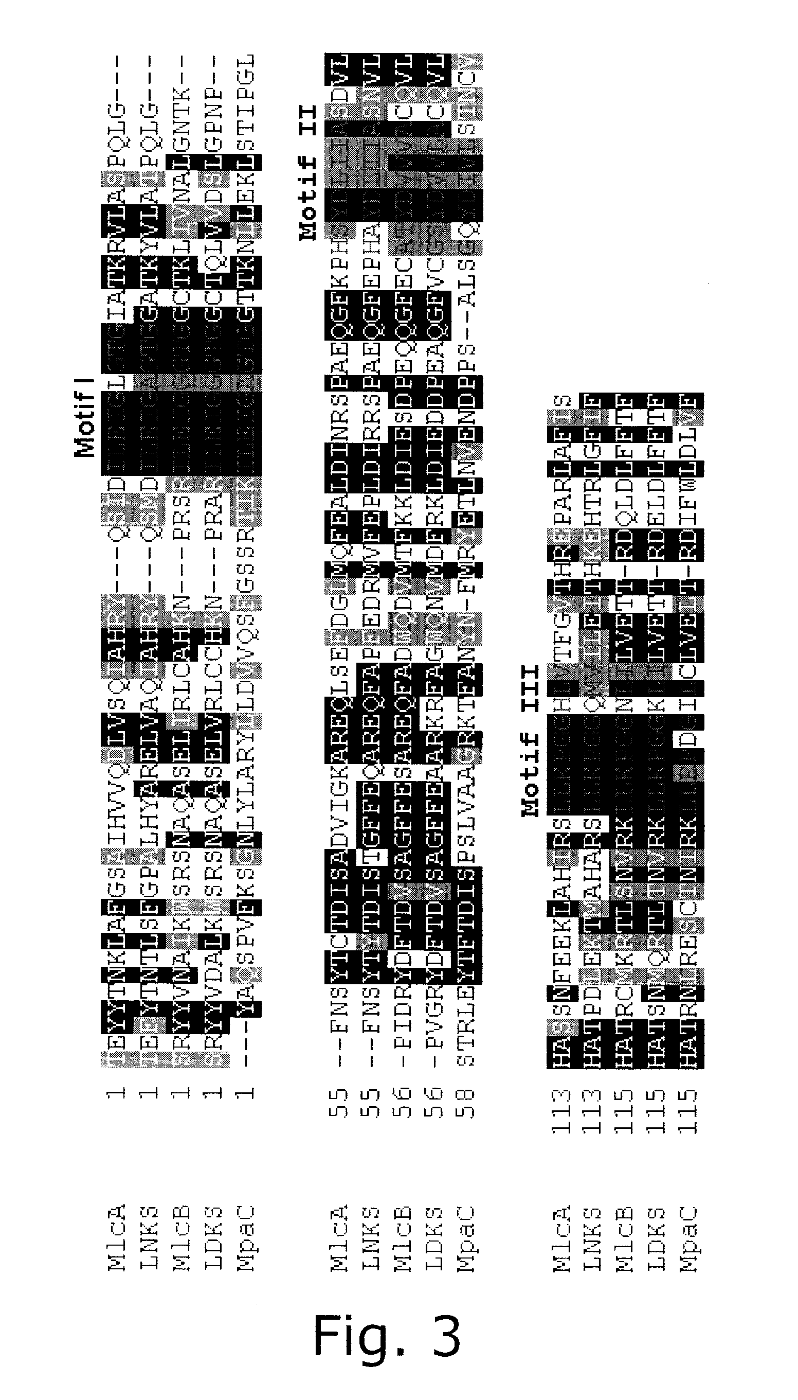 DNA encoding protein and methods of using same