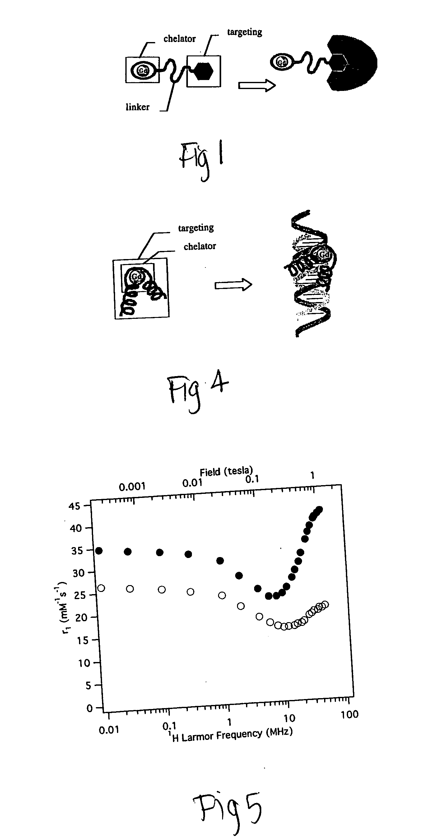 DNA-dependent MRI contrast agents