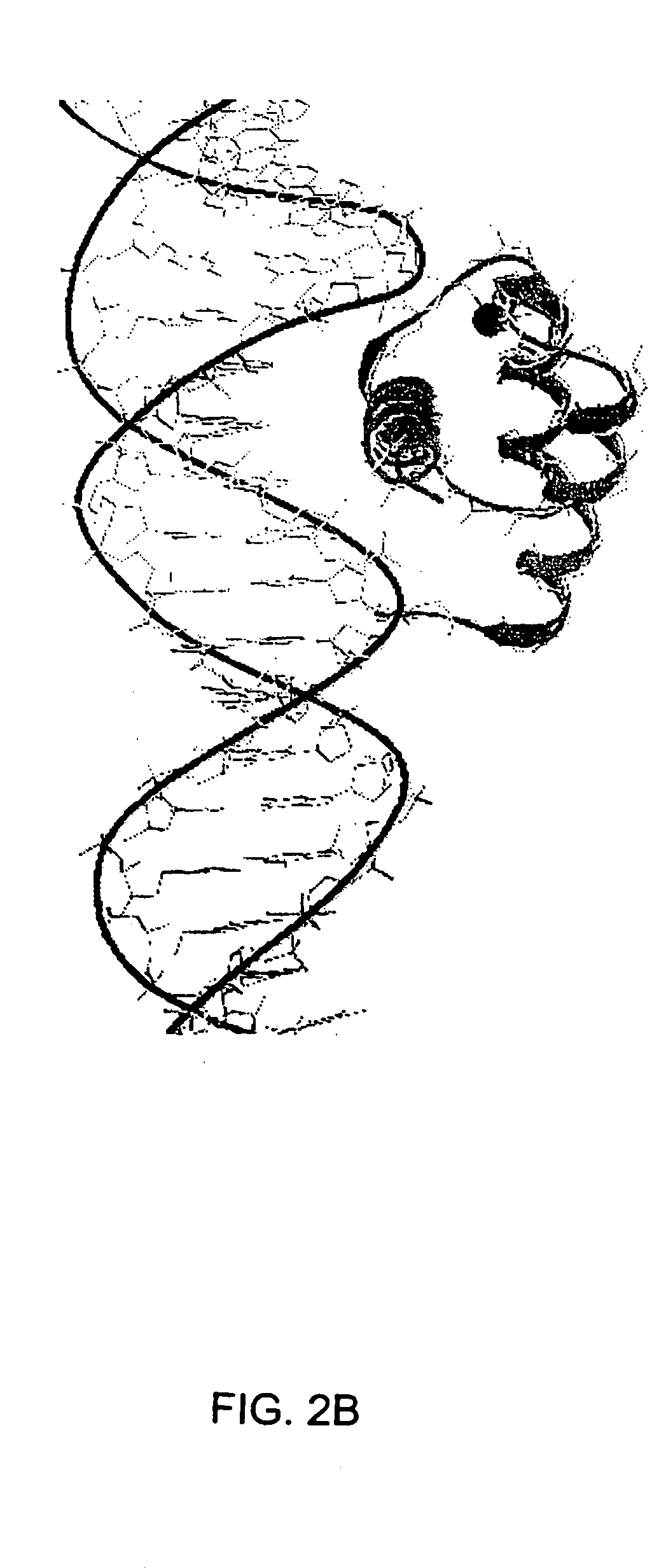 DNA-dependent MRI contrast agents