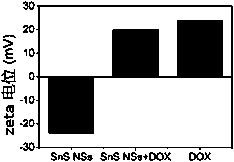 Stannous sulfide nanosheet based drug delivery system and preparation method thereof