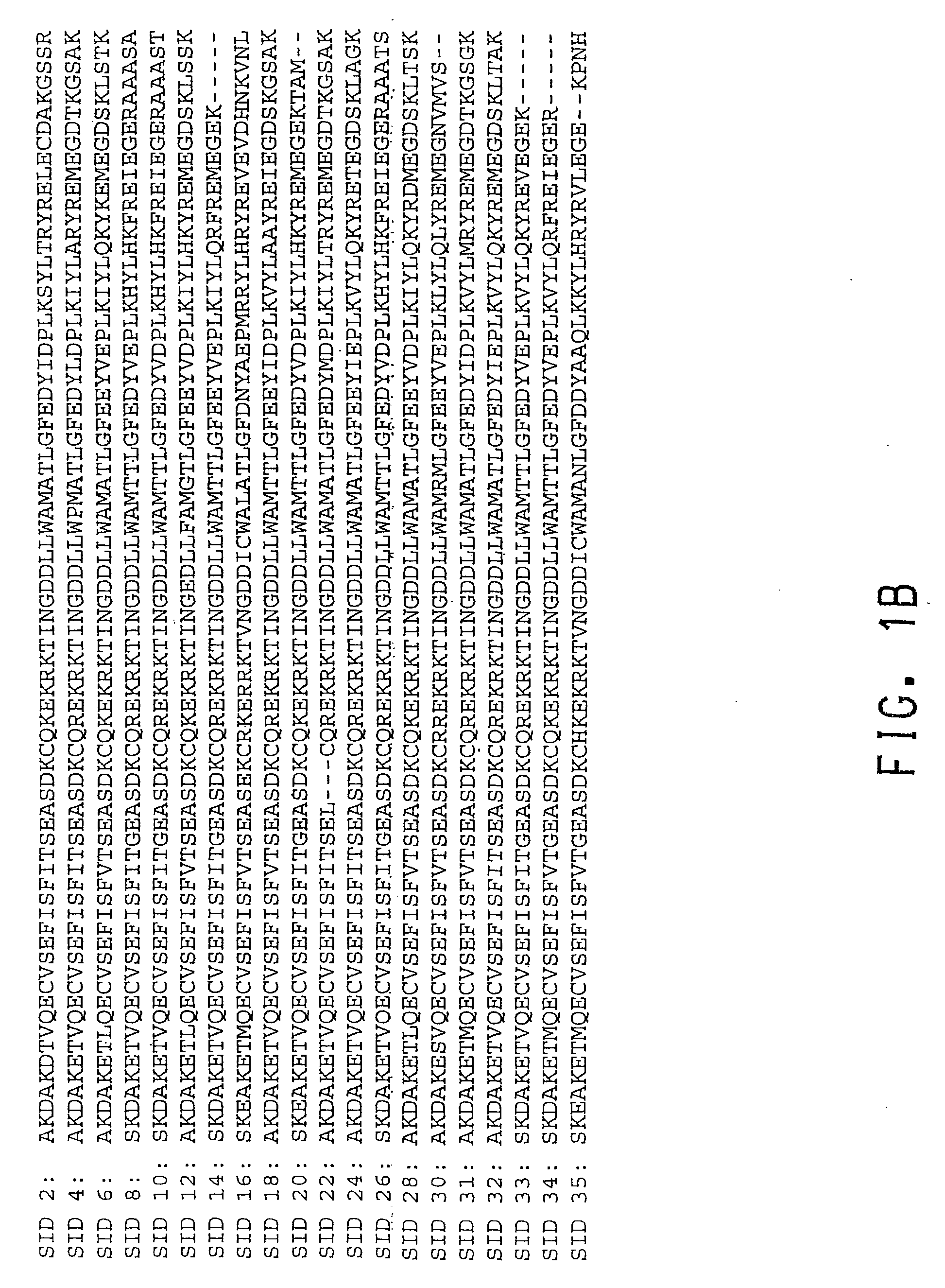 Plant Transcription Factors