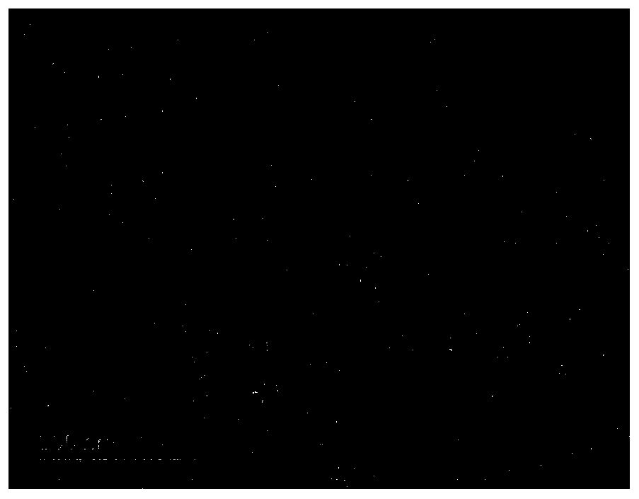 A kind of cellulose type II nanocrystalline particle and its preparation method and application