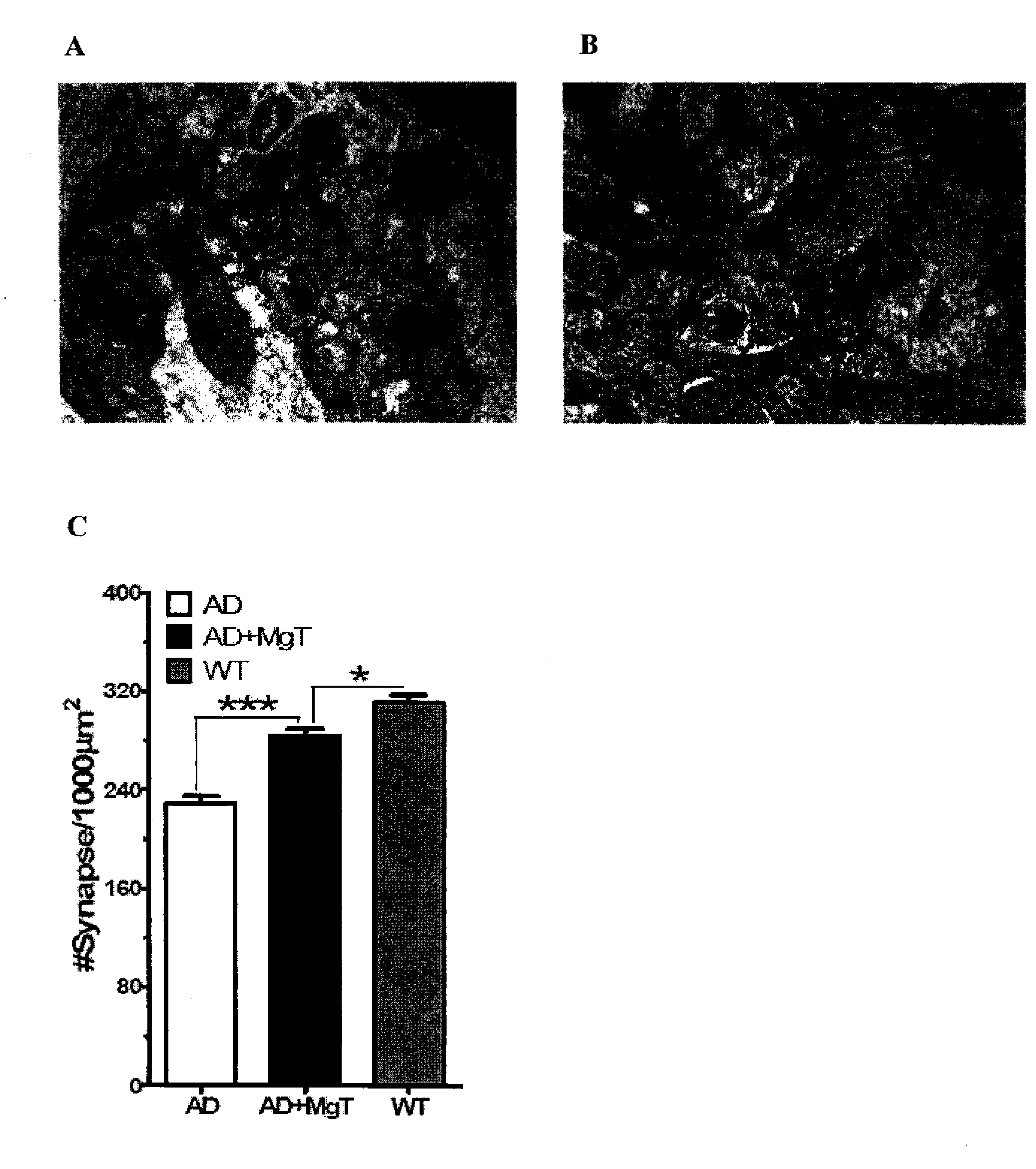 Magnesium compositions and uses thereof