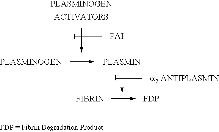 Dimer of molecular variant of apolipoprotein and processes for the production thereof