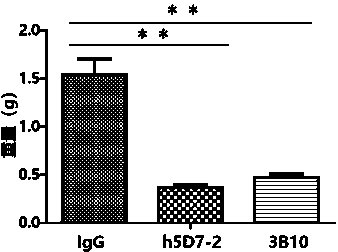 Application of anti-PTN antibody to inhibition of leukemia stem cells and treatment of chronic granulocytic leukemia