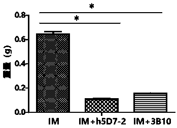 Application of anti-PTN antibody to inhibition of leukemia stem cells and treatment of chronic granulocytic leukemia