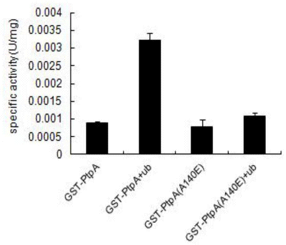 The ubiquitin-binding domain of a secreted protein from Mycobacterium tuberculosis