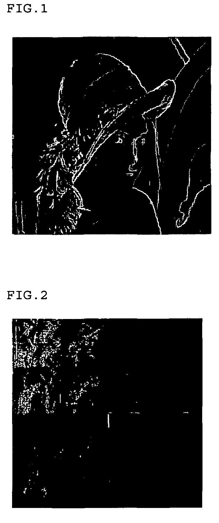 Method for coding and decoding moving picture