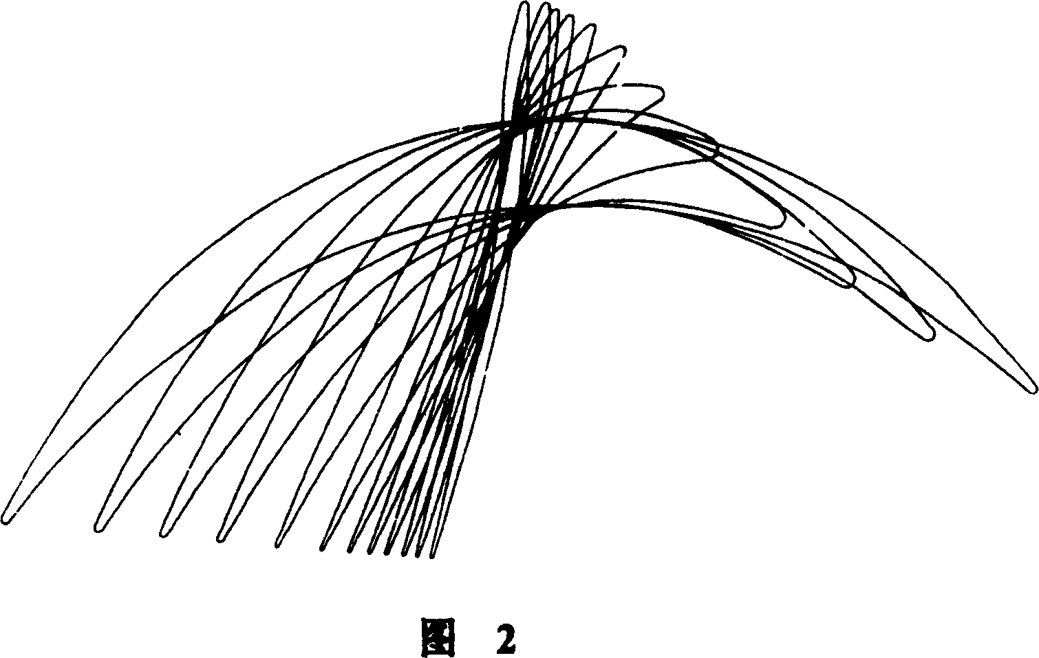 Last stage rotor blade of steam turbine