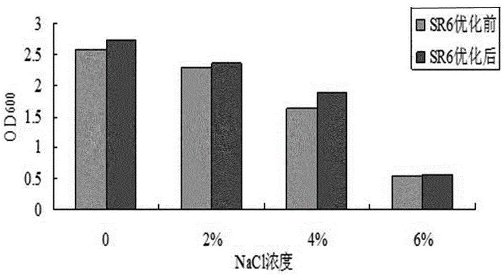 Method for quickly fermenting low-salt sour meat by lactobacillus curvatus SR6