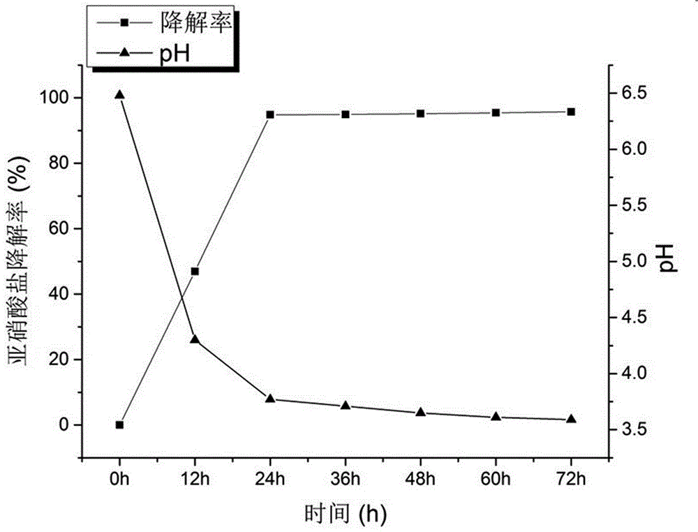 Method for quickly fermenting low-salt sour meat by lactobacillus curvatus SR6