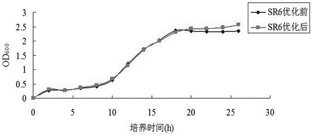 Method for quickly fermenting low-salt sour meat by lactobacillus curvatus SR6