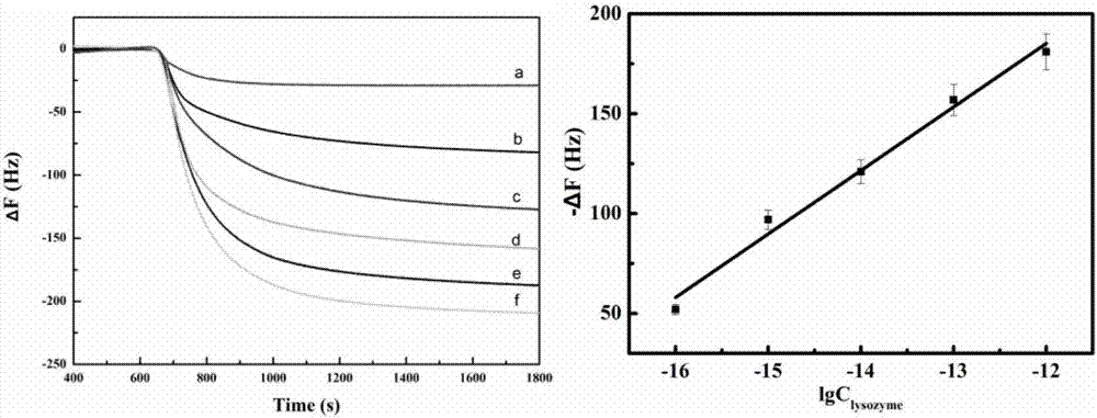 QCM detection method for detecting lysozyme based on multiple signal amplification technologies and application