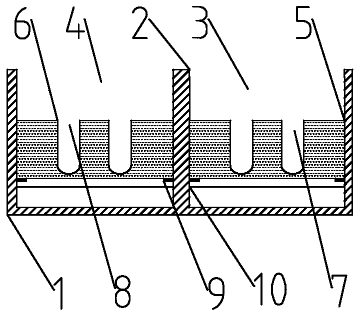 Primer composition and primers of osteogenesis imperfecta virulence gene COL1A1 and application thereof