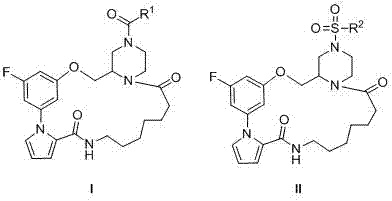 Macrocyclic lactam compound containing rigid biaryl skeleton, and preparation method thereof