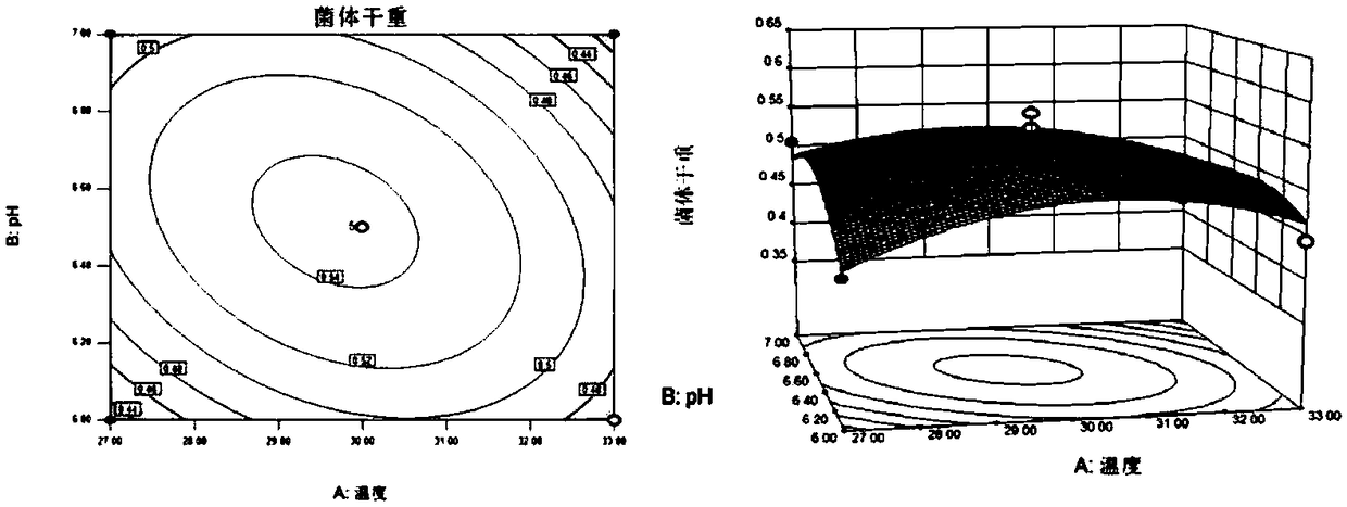 Copper-rich bacillus subtilis and cultivating method thereof