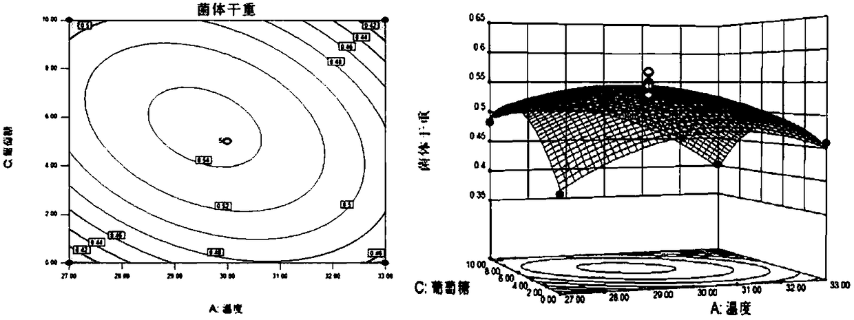 Copper-rich bacillus subtilis and cultivating method thereof