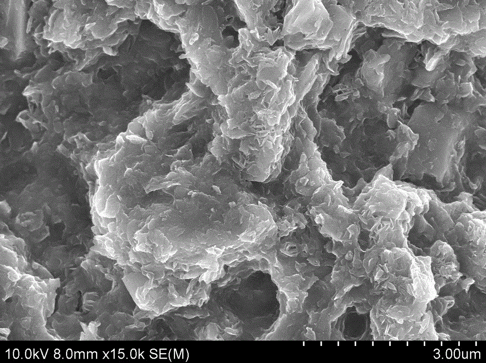 Magnetic compound bone cement and preparation method for same