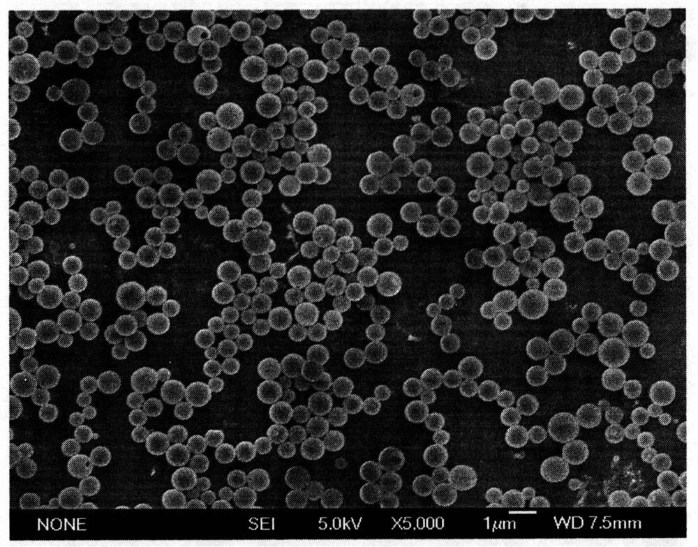 A novel adjuvanted vaccine composition about hpv virus