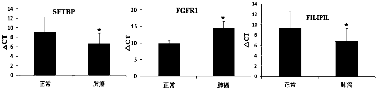 Gene markers, primers, probes and kits for detecting lung cancer