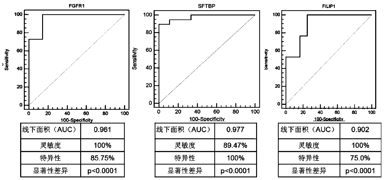 Gene markers, primers, probes and kits for detecting lung cancer