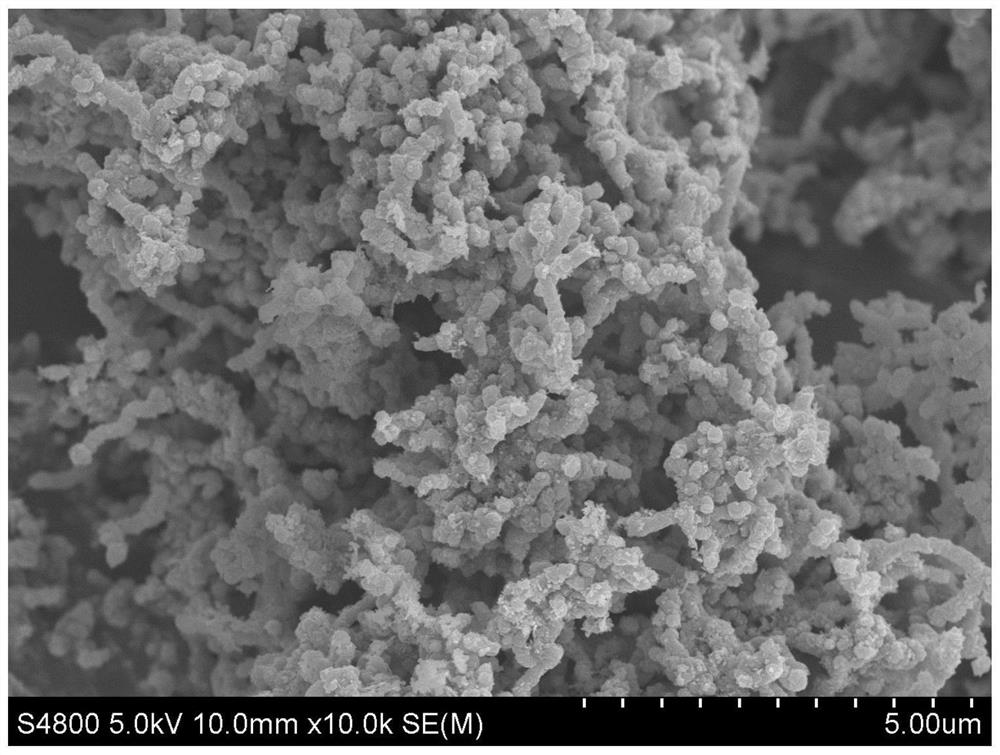 Preparation method and application of a vanadium tetrasulfide@carbon nanotube composite powder