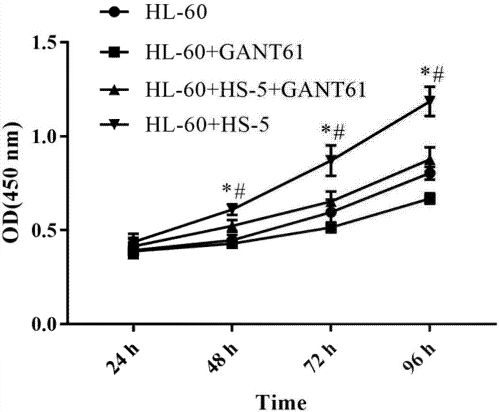 Detection method for regulating Hh signal channel to inhibit HL-60 cells