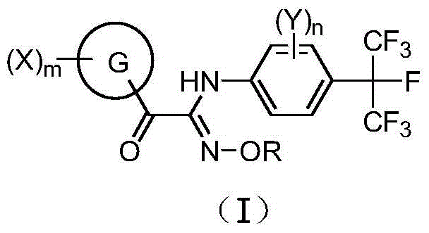 A kind of carbonyl oxime ether compound containing heptafluoroisopropyl, its preparation method and application