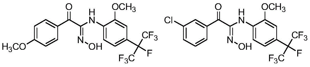 A kind of carbonyl oxime ether compound containing heptafluoroisopropyl, its preparation method and application