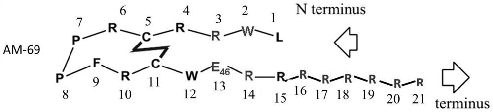 A kind of cyclic polypeptide for resisting Candida albicans and its preparation method