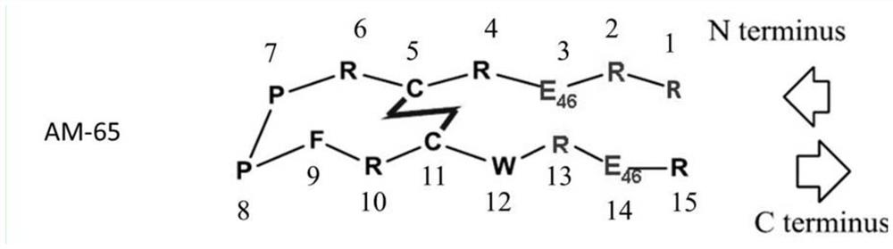 A kind of cyclic polypeptide for resisting Candida albicans and its preparation method