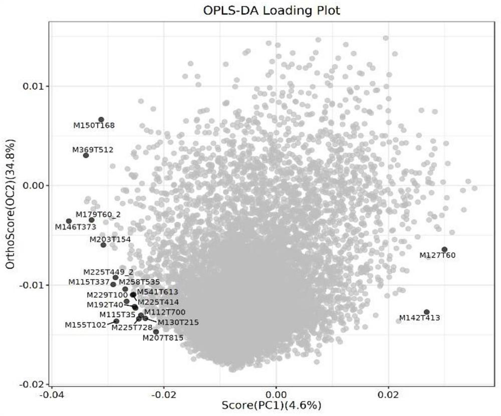 Biological metabolism marker composition for predicting hypertension risk of teenagers