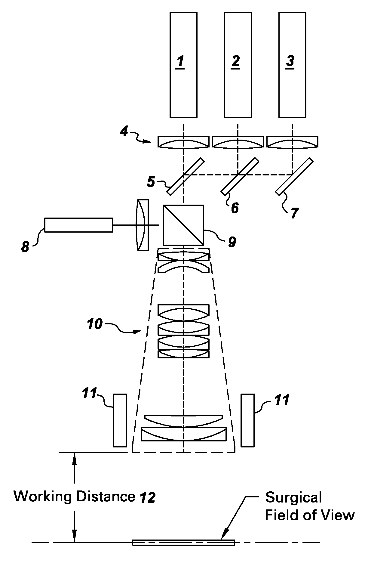 Systems for intraoperative nerve imaging