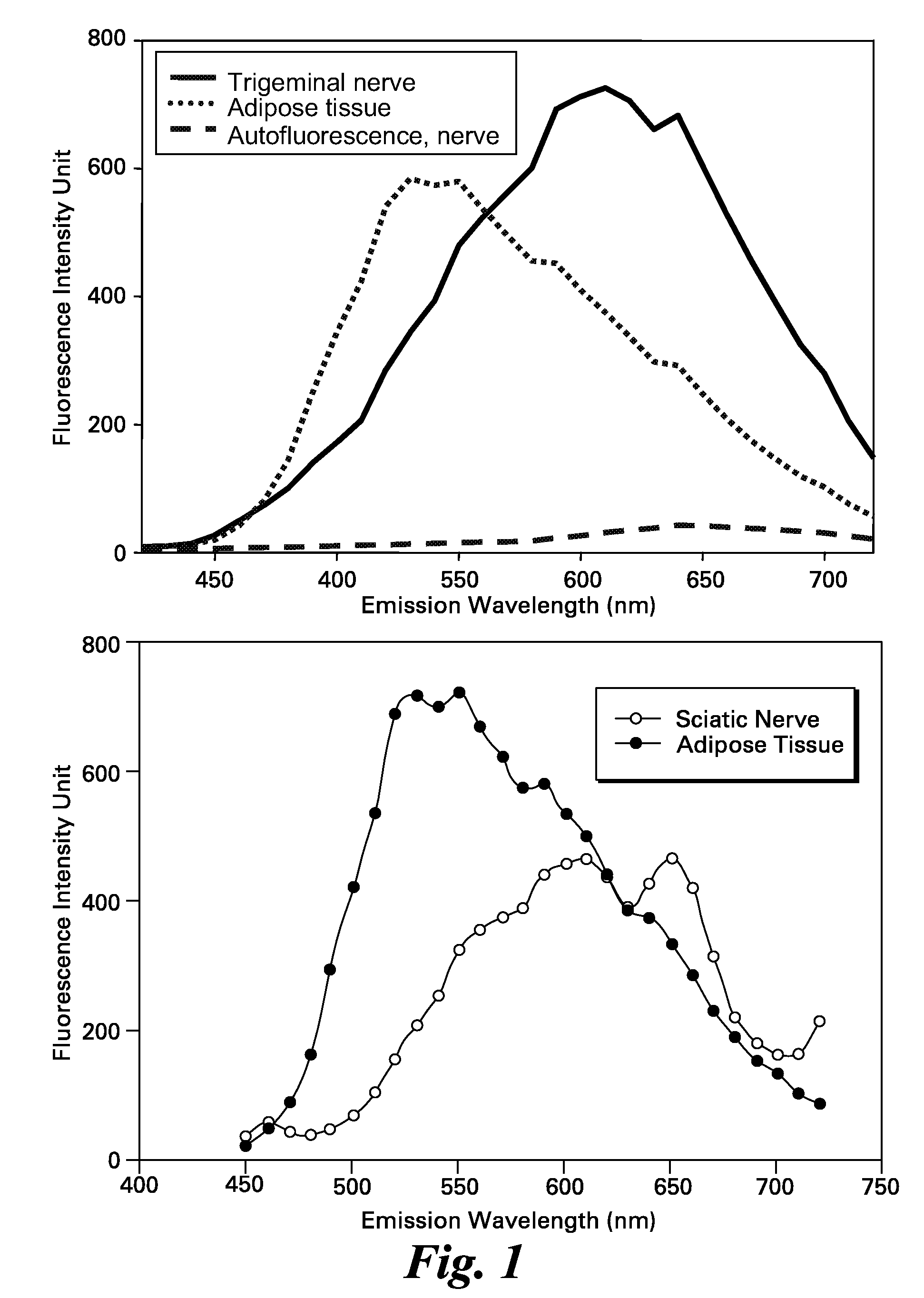 Systems for intraoperative nerve imaging