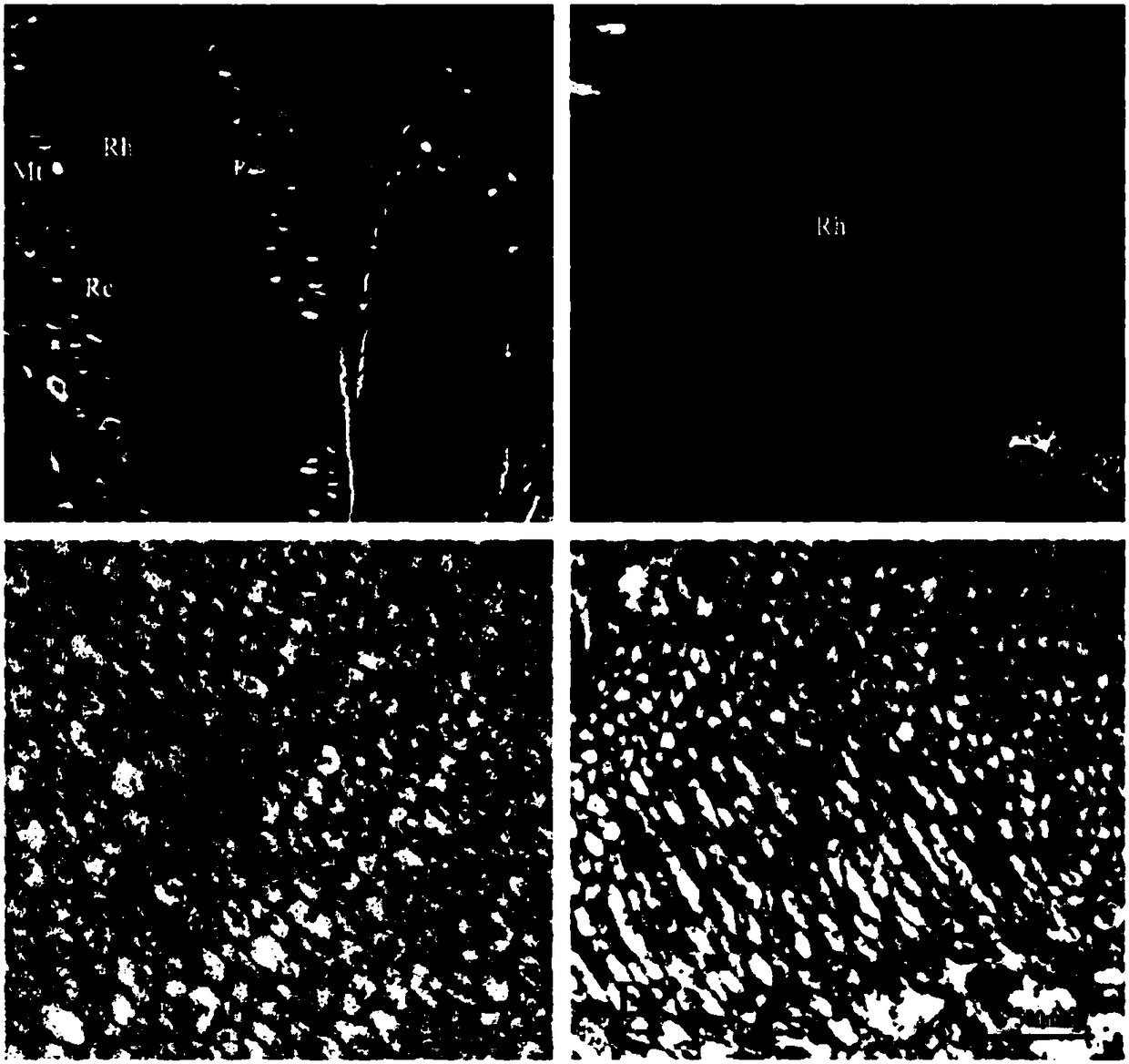 Transmission electron microscope sample preparation method of microminiature insect compound eyes