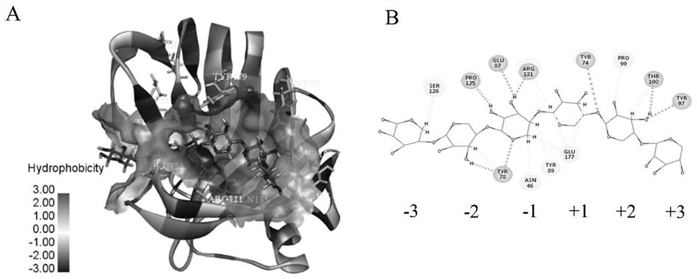 Mutant of xylanase xyna and its application