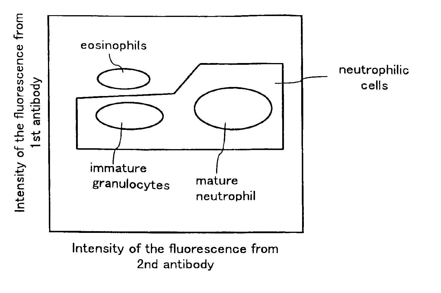 Method for classifying and counting leukocytes