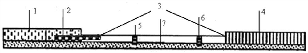 A time-resolved fluorescent immunochromatographic test strip for detecting acetamiprid and its preparation method and application