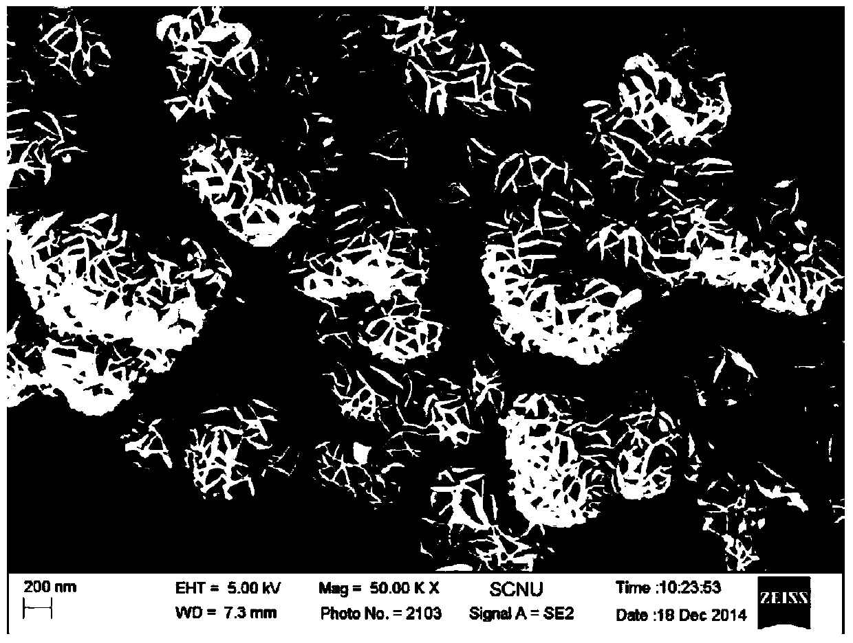 Preparation method of tricobalt tetroxide-tin disulfide nanocomposite