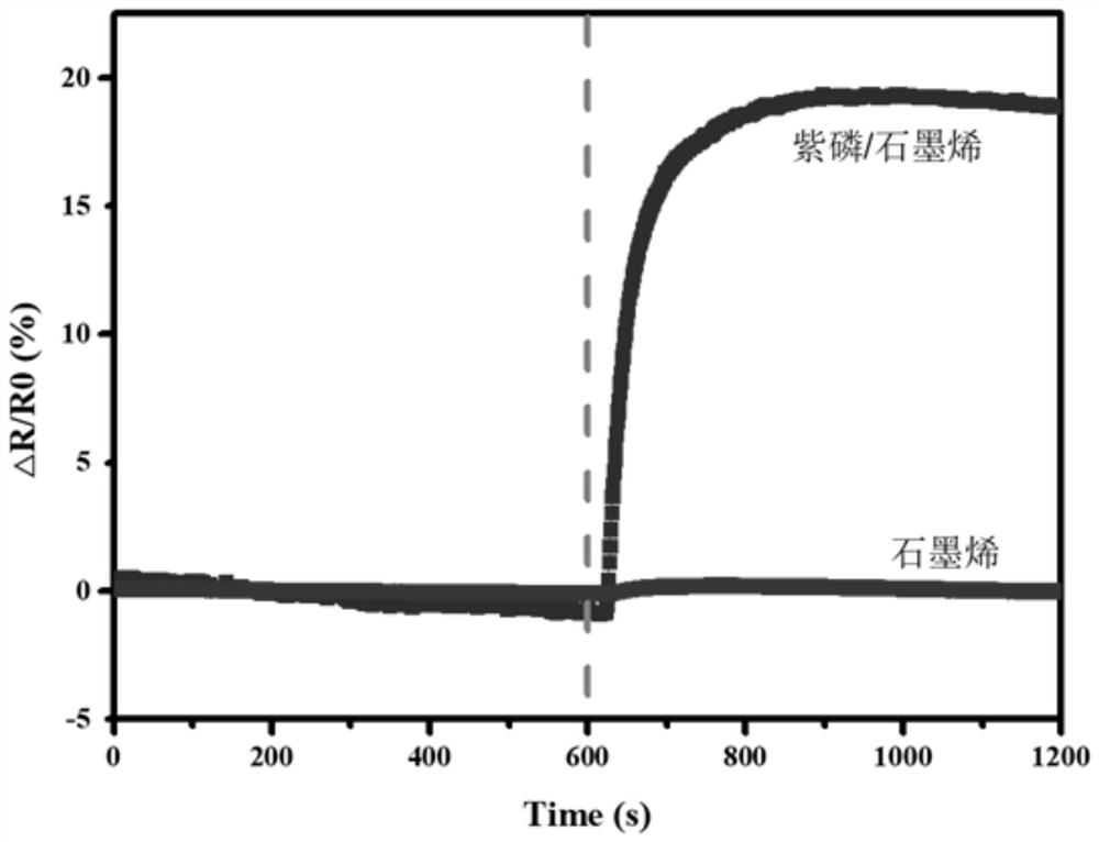 Preparation method and application of purple phosphorus/graphene composite material